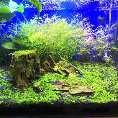 水电安装水电安装维修