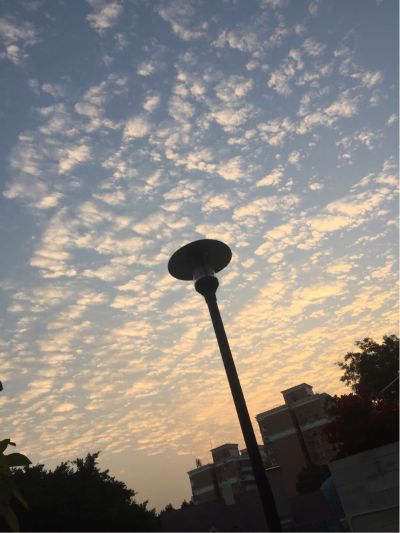 全能助手