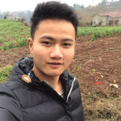 补漆保养贴膜补漆保养贴膜