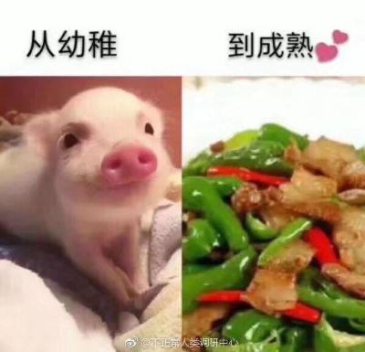 经理管理