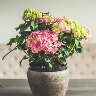 木工吊顶隔墙木工吊顶隔墙