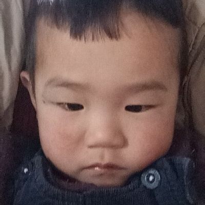 司机