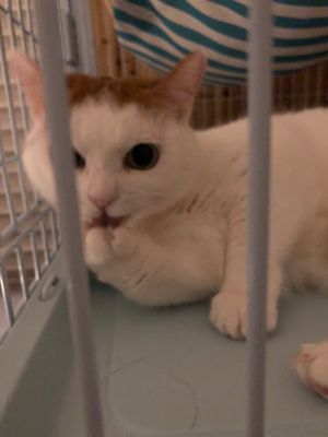 家电安装