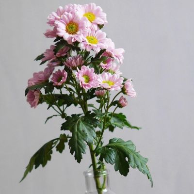 家具安装补漆家具贴膜家居维修保养定制全铝家具