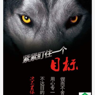 水电安装监控安装家装修补木工安装服务