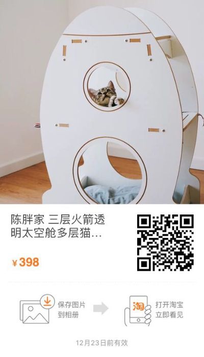 宠物