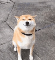 日语