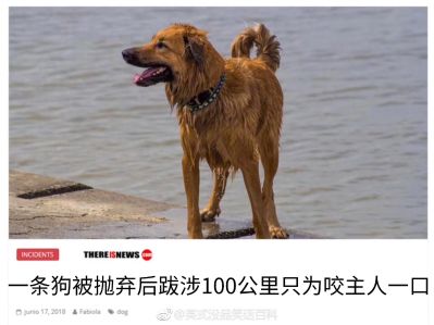 安装