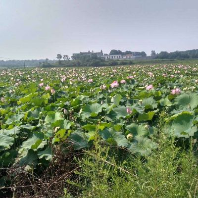 房屋装修翻新水电安装瓦工木工油漆工