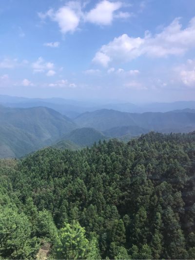 电器