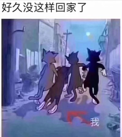 安装