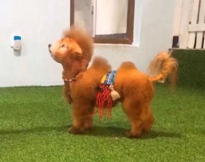 个人