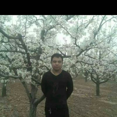 专业安安装下单单吧成武专业安装成武专业安装