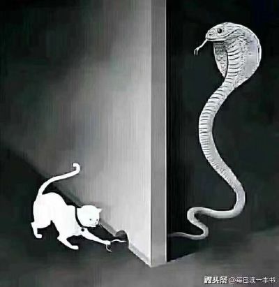 水电建设