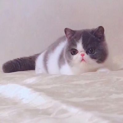 水电