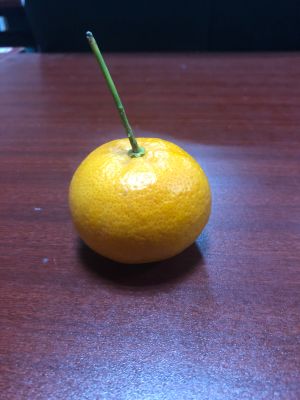 喷漆和涂漆