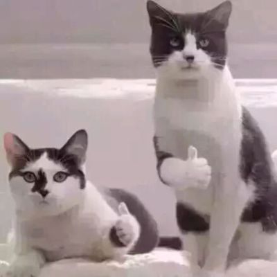 木工