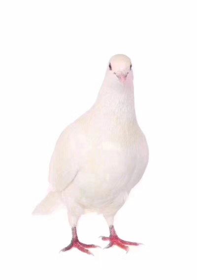 监控