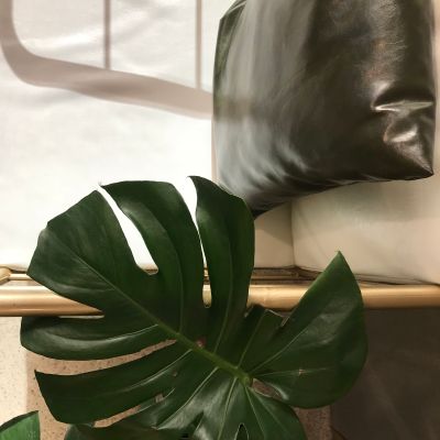 个体