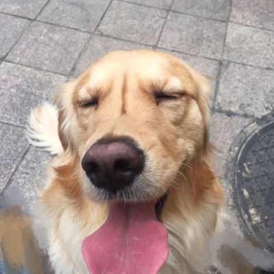 餐厅