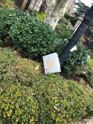 开荒