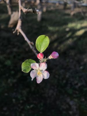 贴瓷砖家具安装家具配送安装