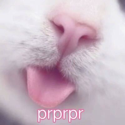 卫浴