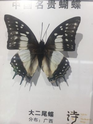 装修木工