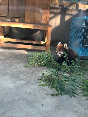 餐饮
