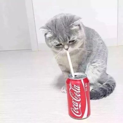 个体
