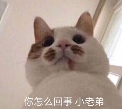 维修