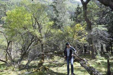 生态木安装集成吊顶安装