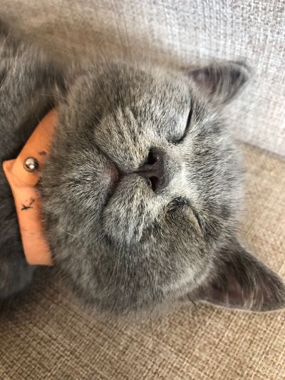 家装安装