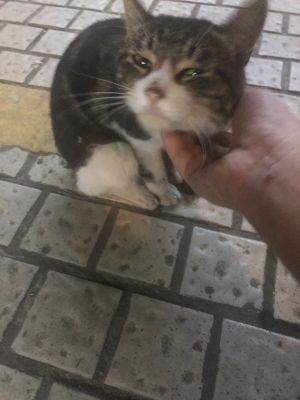 汽修