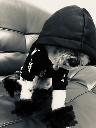 服装