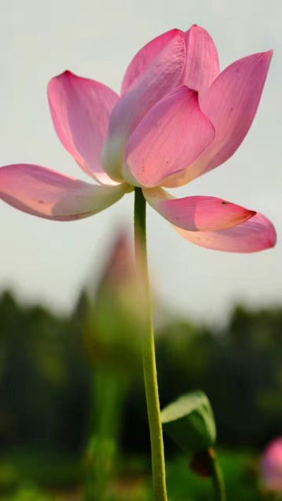 计算机
