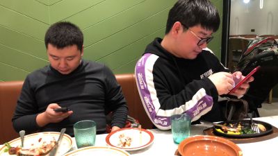 个体