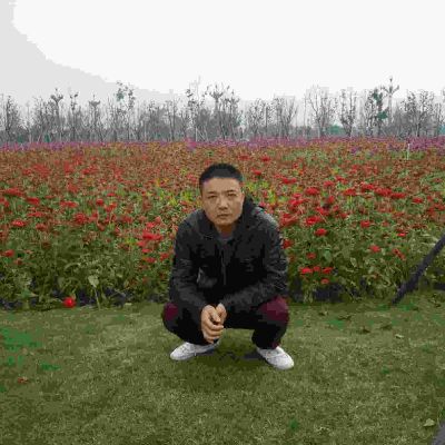 精装修油漆工