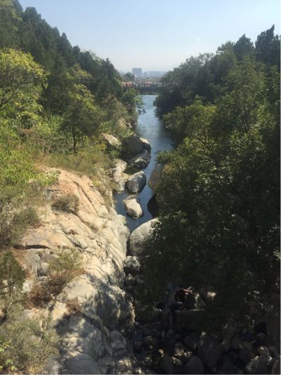 净水器安维保