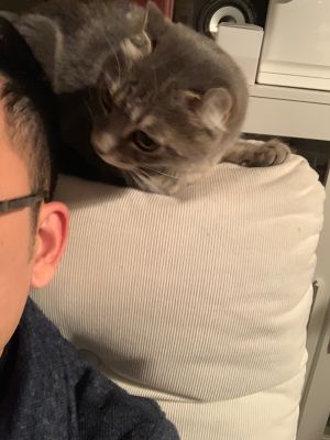 安装