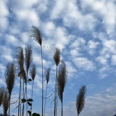 安装各类项目家具安装空调安装