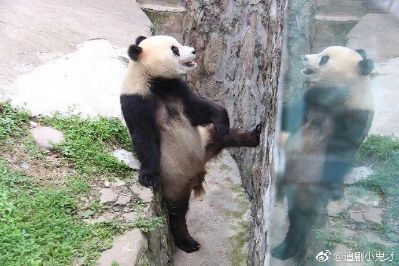 娱乐