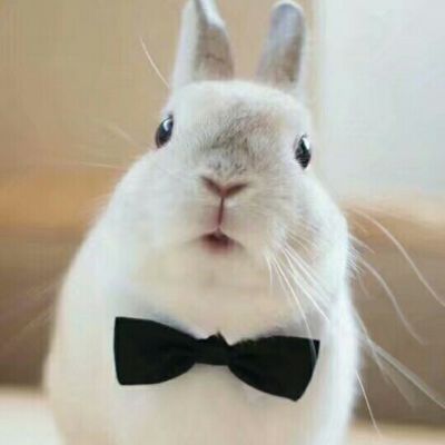 空调安装空调安装