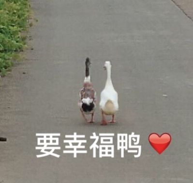 灯具安装