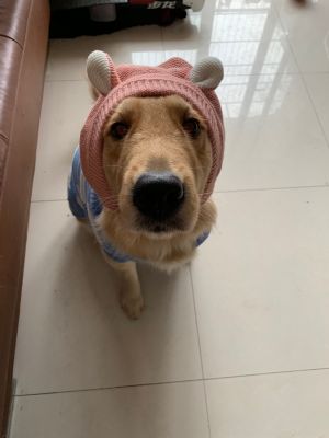 销售
