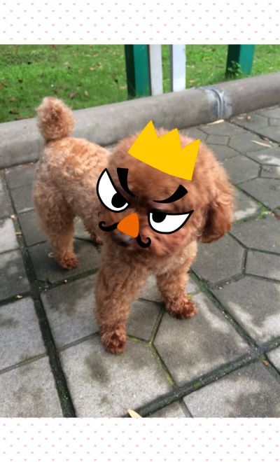无业