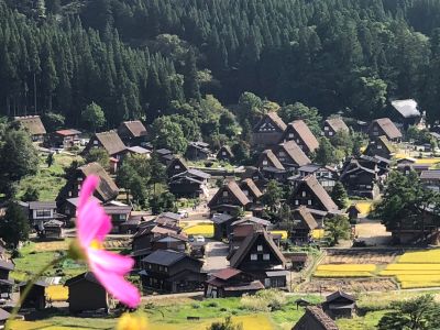 金融