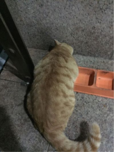 有钱就做家政服务