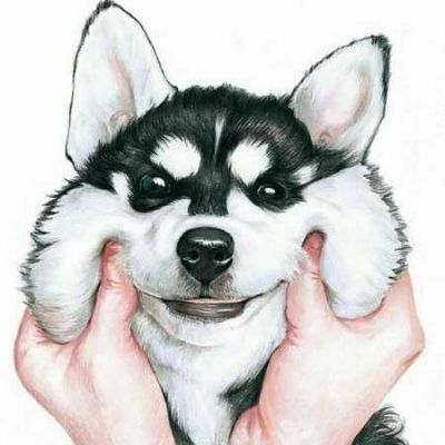组装无