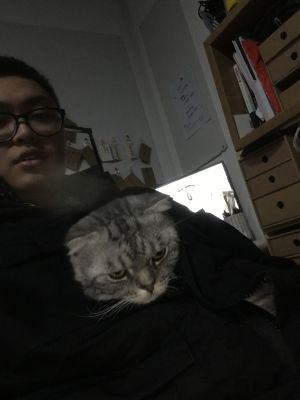 游戏